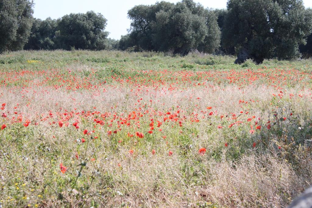 אוסטוני Masseria Valente מראה חיצוני תמונה
