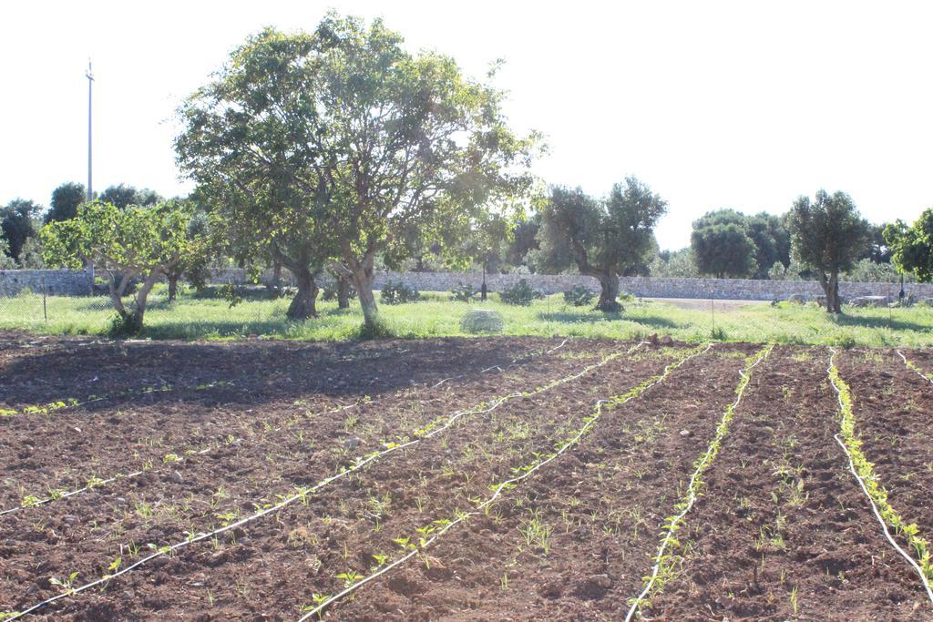 אוסטוני Masseria Valente מראה חיצוני תמונה